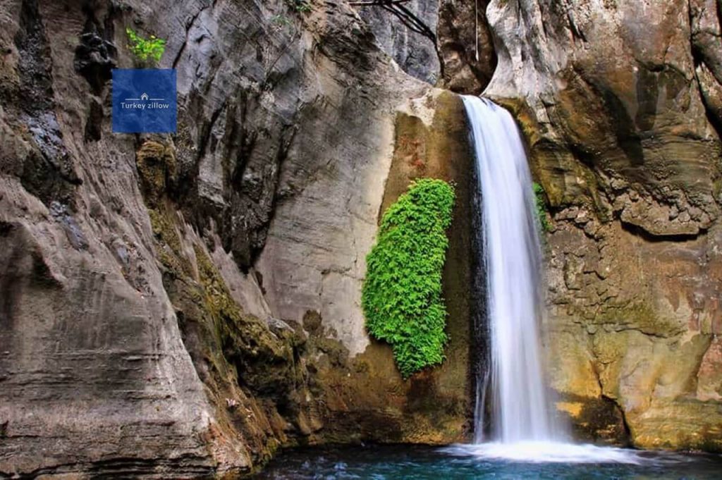 اتوبوس در آلانیا
