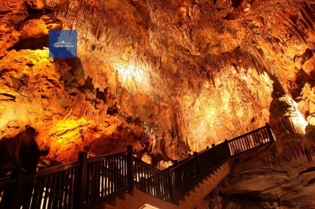 اتوبوس در آلانیا
